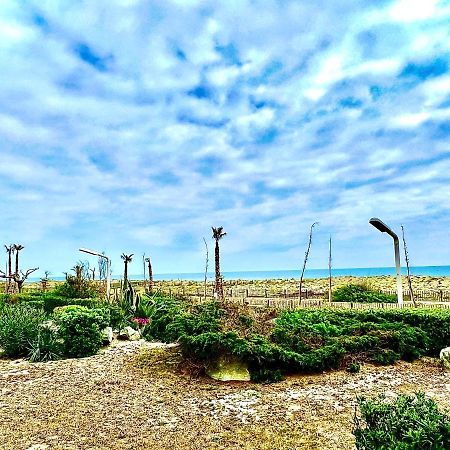 Vue Mer Plage Parking Gratuit Wifi Village De Noel Le Barcares Bagian luar foto